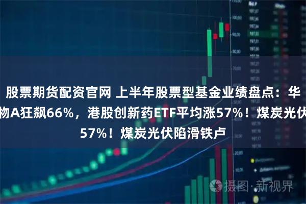 股票期货配资官网 上半年股票型基金业绩盘点：华安医药生物A狂飙66%，港股创新药ETF平均涨57%！煤炭光伏陷滑铁卢
